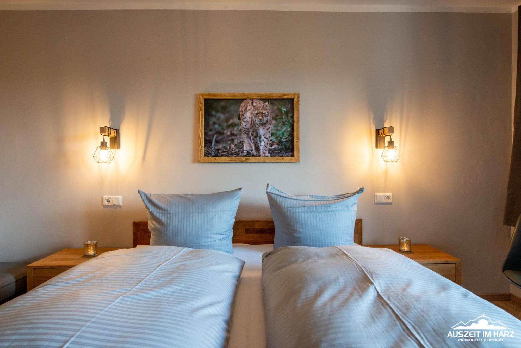 Auszeit-Im-Harz Haus 3 Wohnung 3 Браунлаге Экстерьер фото