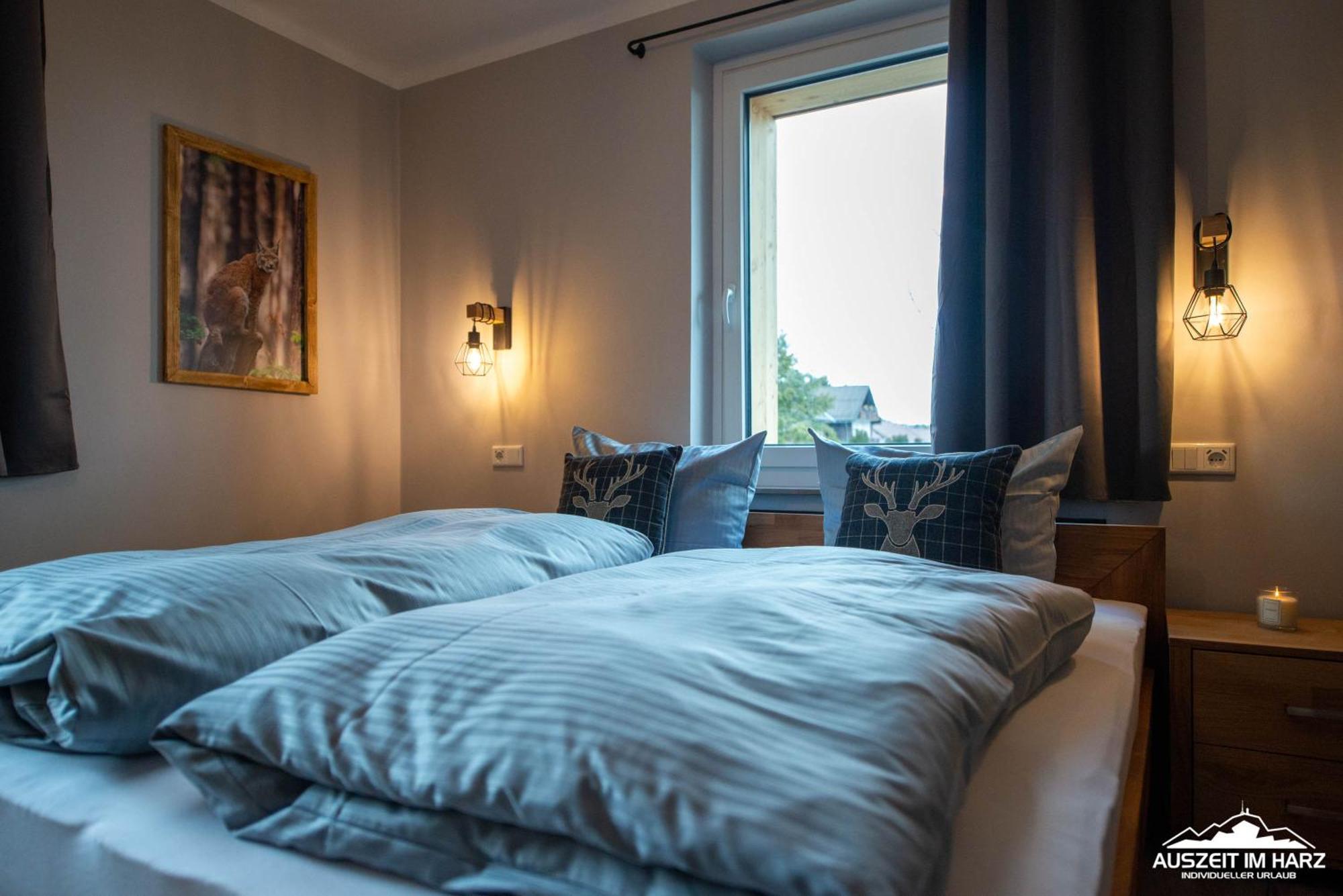 Auszeit-Im-Harz Haus 3 Wohnung 3 Браунлаге Экстерьер фото