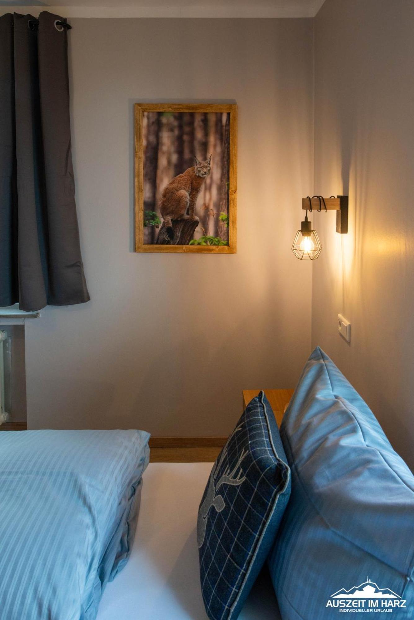 Auszeit-Im-Harz Haus 3 Wohnung 3 Браунлаге Экстерьер фото
