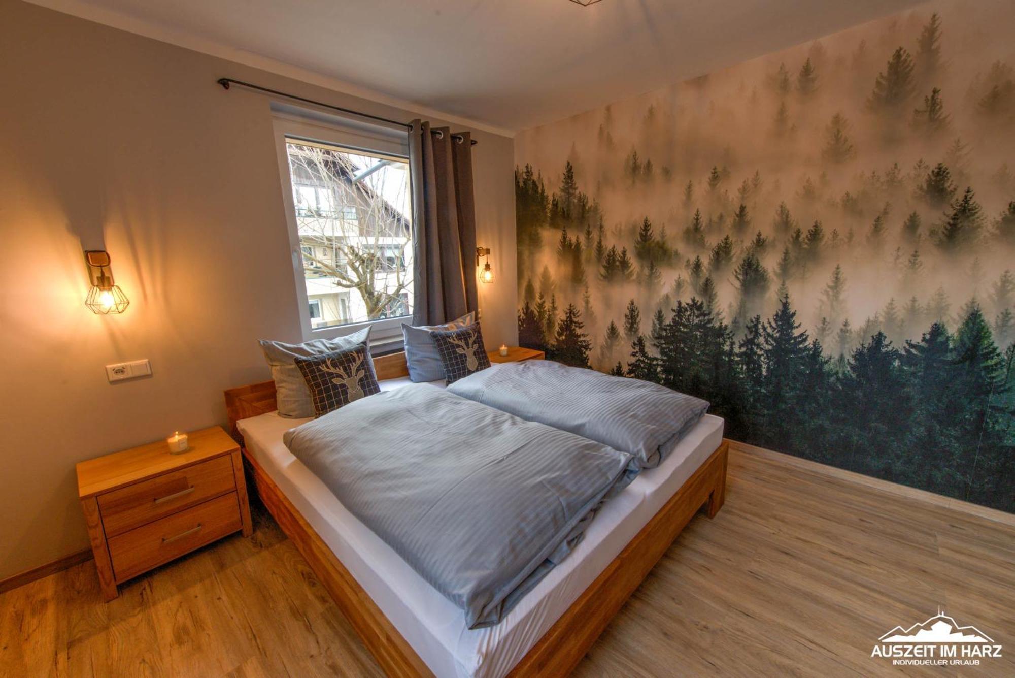 Auszeit-Im-Harz Haus 3 Wohnung 3 Браунлаге Экстерьер фото